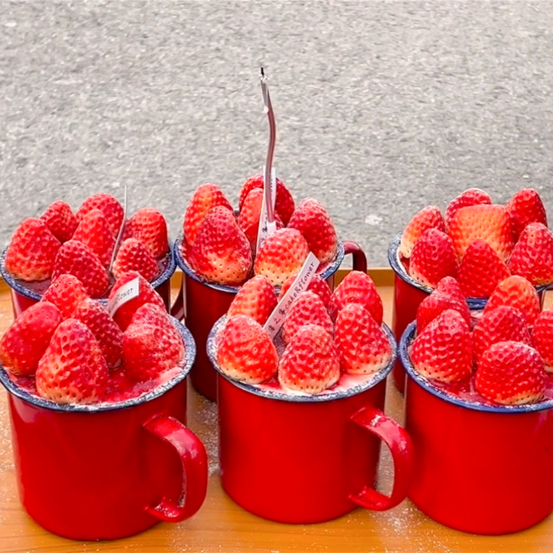 2024圣诞节草莓甜品蛋糕装饰红色喜庆复古奶油搪瓷杯容器大茶缸,节庆用品/礼品,蛋糕/烘焙装饰用品,淘宝优惠券,粉丝福利购,淘宝优惠卷