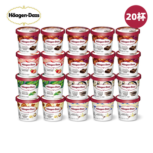 20杯 夏威夷果仁香草比利时巧克力雪糕批发 哈根达斯冰淇淋81g杯装