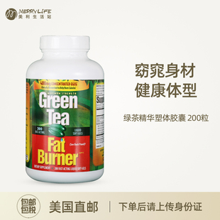 Green 绿茶精华腹部塑体胶囊成人 Tea Burner 200粒 Fat 美国直邮