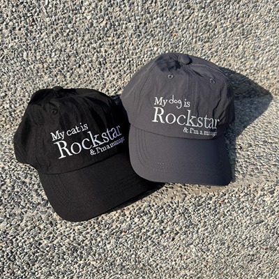 22春夏灰色鸭舌帽通用