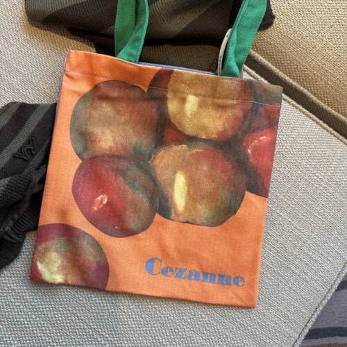 春夏艺术小众清新撞色粗布帆布油画苹果Apple图案小号手提包袋