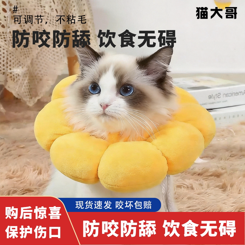 猫大哥伊丽莎白圈猫绝育项圈防舔英短猫咪脖圈颈圈头套狗宠物用品