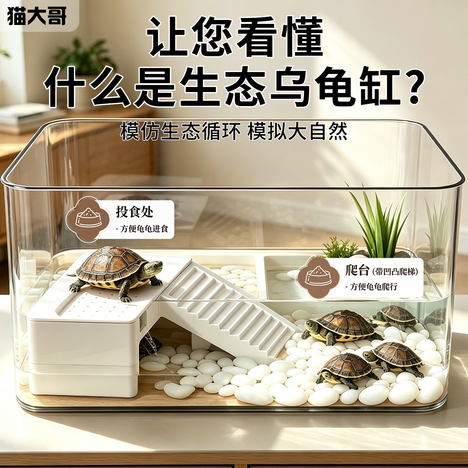 乌龟生态饲养缸造景家用小型豪华别墅爬台寄居蟹专用箱养巴西龟缸
