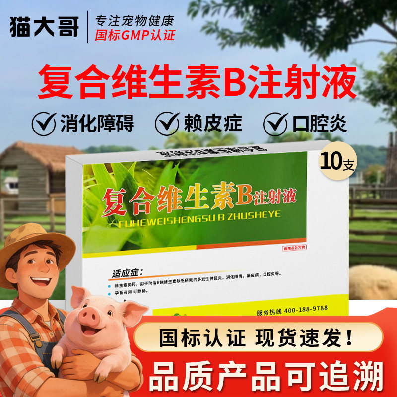 复合维生素b注射液用针剂猪牛羊犬猫兔开胃口腔神经炎赖皮症兽药