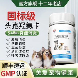 头孢羟氨苄片宠物狗狗猫咪犬用脓皮症伤口消炎感冒药尿路感染尿血