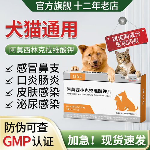 宠物猫狗喷嚏感冒咳嗽鼻支消炎药