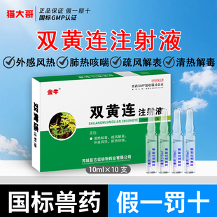 兽用双黄连注射液兽药猪牛羊猫狗清热解毒感冒发烧流感鼻涕用正品