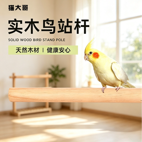 宠物丹玄凤啃咬鸟笼造景装饰配件