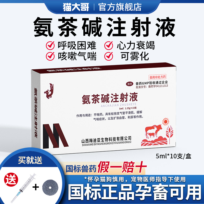 氨茶碱注射液可雾化止咳呼吸道药