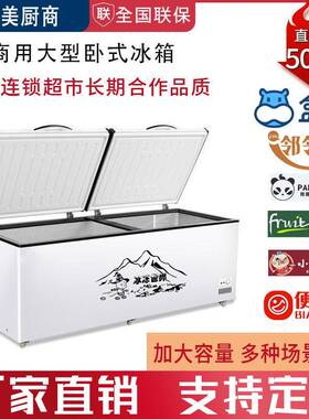 冰柜商用大容量冰箱家用冷藏保鲜冷冻两用铜管卧式冷柜双温雪柜