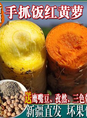新疆黄萝卜手抓饭食材黄色红色胡萝卜新货农家自种带泥新鲜组合装