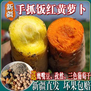 新疆黄萝卜手抓饭食材黄色红色胡萝卜新货农家自种带泥新鲜组合装
