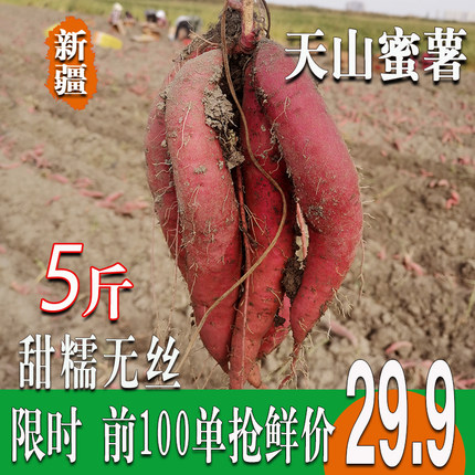 新疆沙地蜜薯红薯新鲜现挖地瓜糖心5斤包邮
