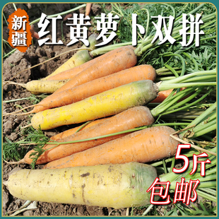 新鲜胡萝卜新疆红黄萝卜组合手抓饭蔬菜农家自种现挖带泥5斤包邮
