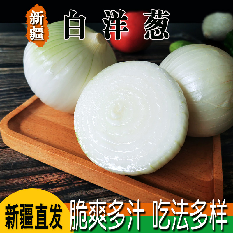 新疆白皮牙子白洋葱凉拌菜新鲜蔬菜生吃5斤包邮