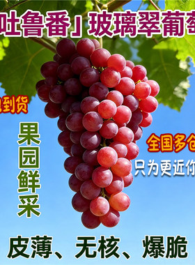 新疆玻璃翠葡萄脆甜无籽多汁提子