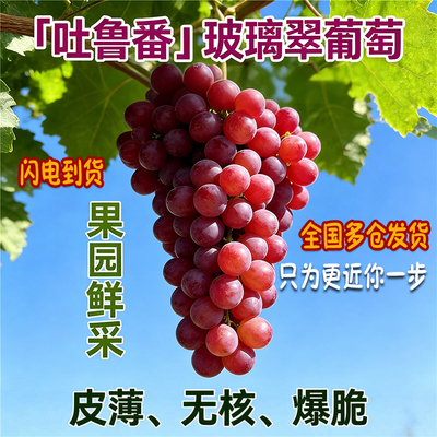 新疆玻璃翠葡萄脆甜无籽多汁提子