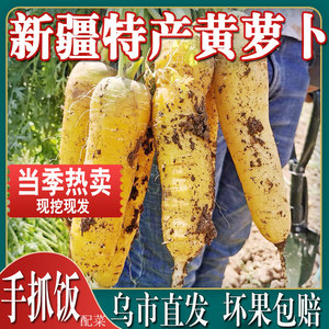 新疆黄心胡萝卜新鲜蔬菜农家自种带泥黄胡萝卜抓饭专用宝宝辅食