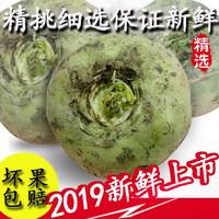 恰玛古新疆柯坪县新鲜蔬菜恰玛古强碱性食品调节酸碱平衡5斤包邮