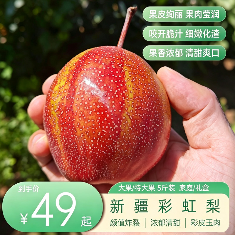 新疆彩虹梨细嫩脆爽清甜秋月梨
