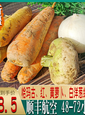 新疆新鲜恰玛古黄萝卜红萝卜白洋葱蔬菜组合手抓饭清炖羊肉顺丰