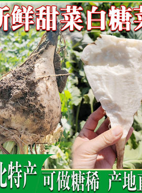熬糖菜疙瘩小时候味道