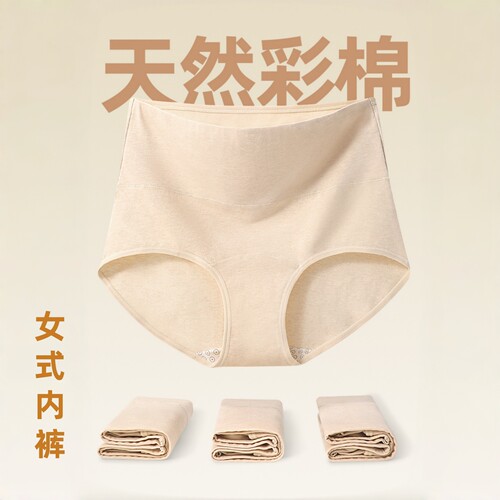 新疆天然彩棉10A抗菌女三角裤