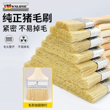 毛刷工业用猪毛刷硬毛清洁工具油漆专用刷子棕毛刷大全猪鬃不掉毛