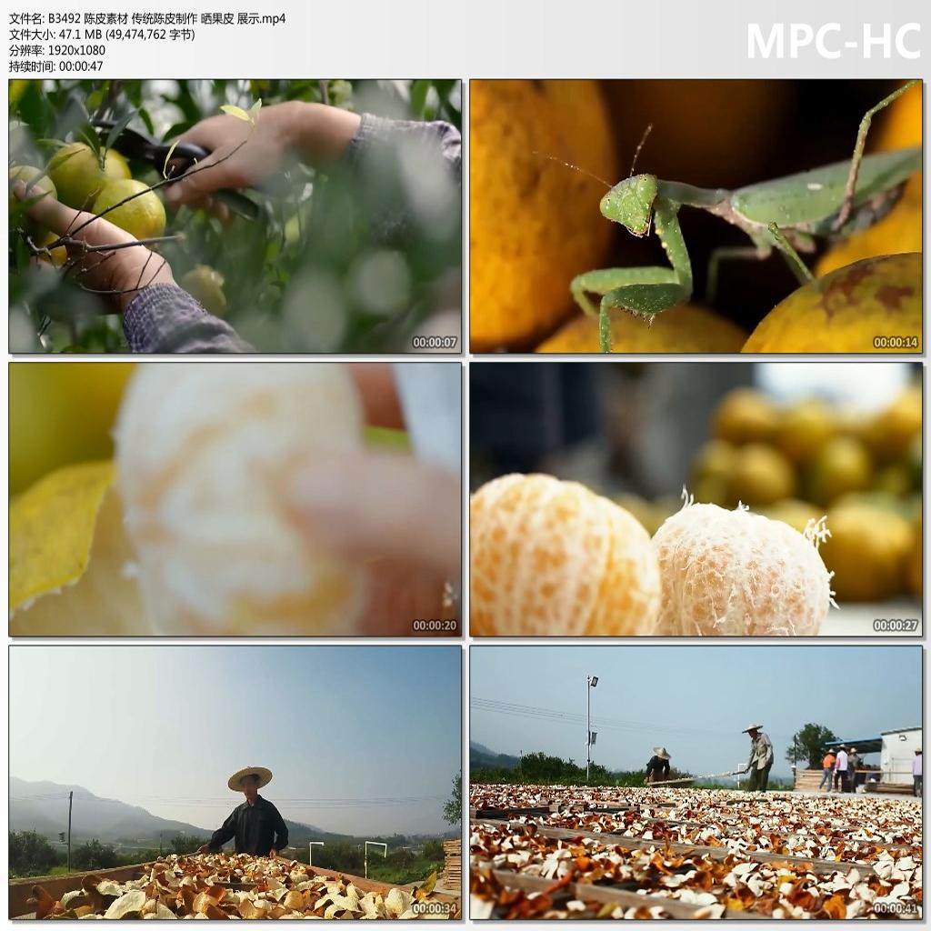 陈皮素材 传统陈皮制作 晒果皮 展示 高清短视频剪辑素材