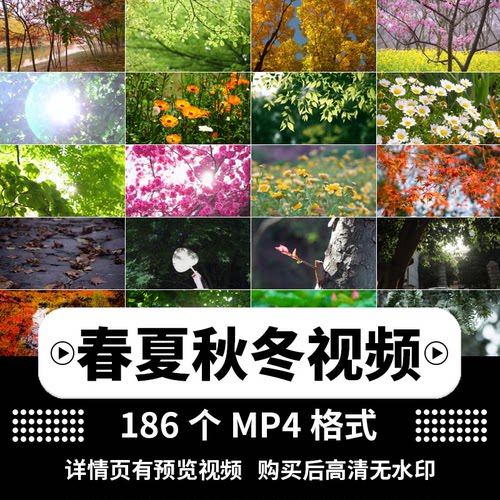 春夏秋冬四季轮回风景花草落叶雪景季节变化舞台LED背景视频素材