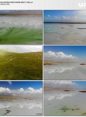青海茶卡盐湖 绿色草地大草原白羊群奔跑 大气空镜短视频背景素材