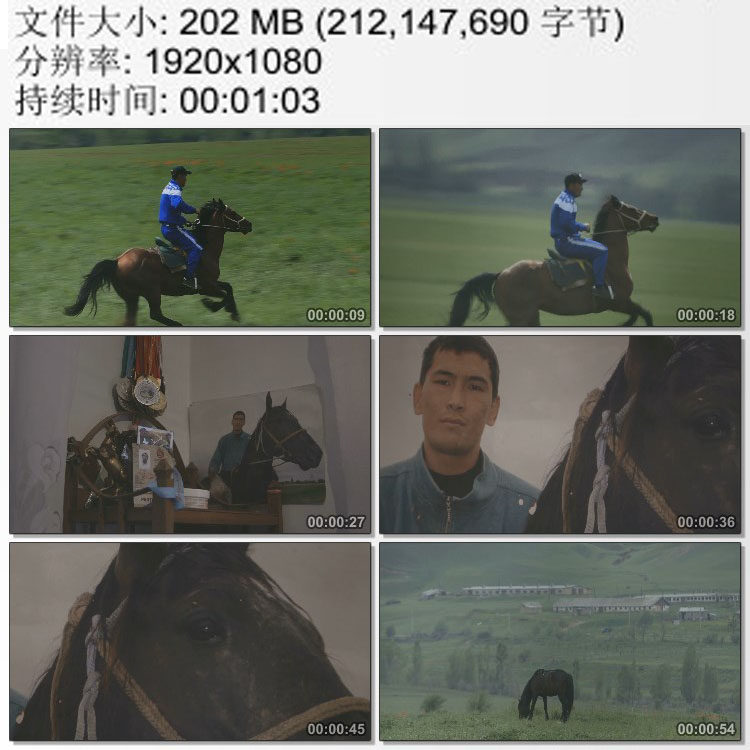 草原牧民教孩子们学习马术少年儿童 爱马的骑手 高清实拍视频素材