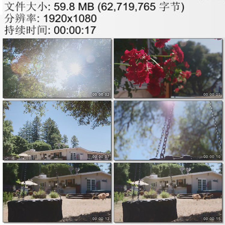 午后阳光 透过枝叶的光线 洒满阳光鲜花 休闲惬意 实拍视频素材