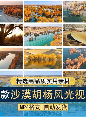 沙漠胡杨林风光美景航拍秋季黄叶旅游景区高清实拍自媒体视频素材