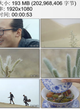 沙漠中的植物苦艾草 旱地植视频 低苦艾乐队 高清视频素材