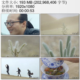 沙漠中的植物苦艾草 旱地植视频 低苦艾乐队 高清视频素材