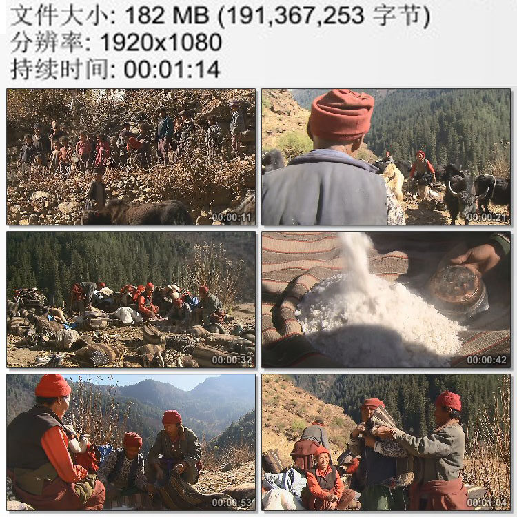 喜马拉雅山下尼泊尔胡里克村 杜波商队村民物交换物 实拍视频素材