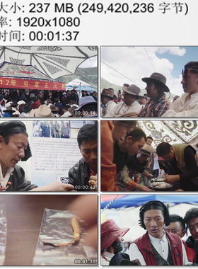 西藏那曲虫草王比赛藏民冬虫夏草采购交易市场 高清实拍视频素材