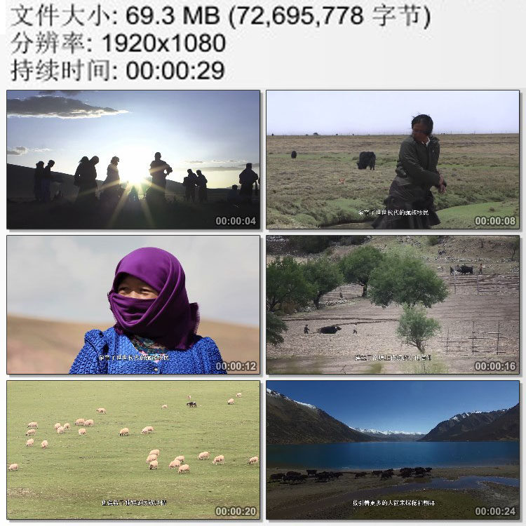 青藏高原藏族牧民 独特民族风情 朝拜 高清实拍视频素材