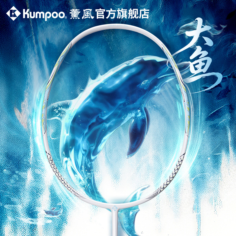 薰风2025入门级5U羽毛球拍碳素纤维超轻拍专业羽拍熏风大鱼DS-203 - 封面