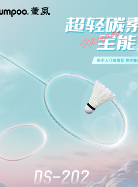 薰风羽毛球拍超轻耐打入门训练羽球拍学生单拍熏风家庭娱乐羽球拍