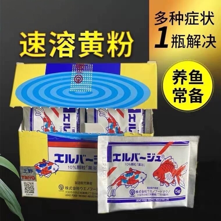 日本进口上野黄粉观赏鱼专用