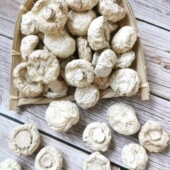 新疆伊犁草原口蘑美味蘑菇草菇圆菇250g营养菌菇煲汤天然