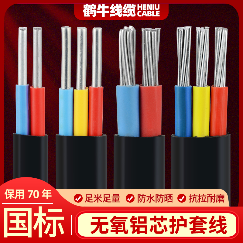 国标2芯3芯电缆线铝芯