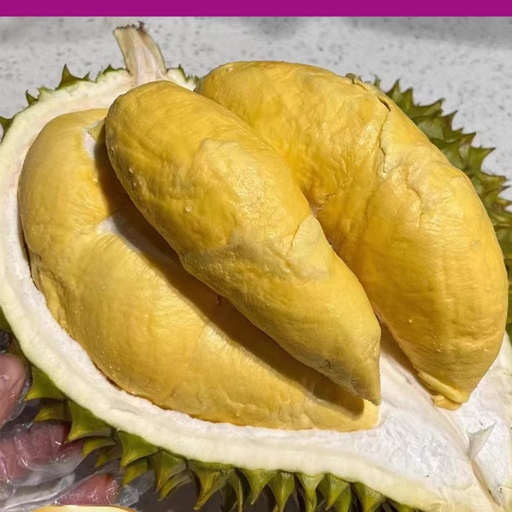 越南干尧榴莲新鲜水果当季手掌巴掌长柄干扰一整个10广西干饶榴莲