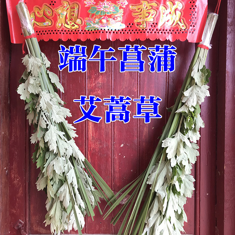 新鲜野生整棵艾草艾叶菖蒲带杆端午节挂门全株大叶艾蒿菖蒲草驱蚊
