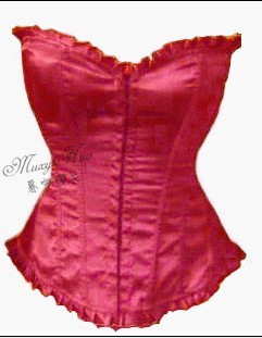 Corset sexy en autre - Ref 682767 Image 1