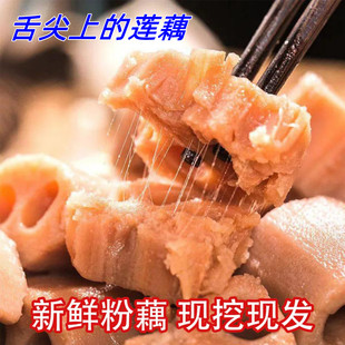 洪湖新鲜煲汤粉莲藕农家现挖带泥巴九孔粉糯湖北嘉鱼特产面红藕5