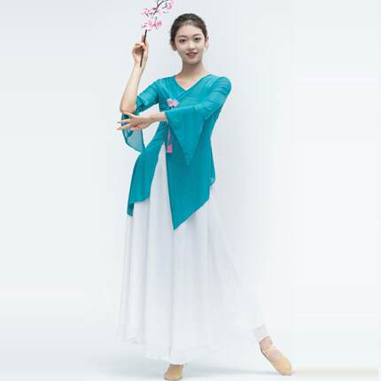 古典舞服身韵纱衣服装女上衣练功中国风舞蹈民族网纱套装飘逸仙气