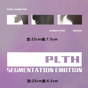 潮牌时尚 PLTH图案烫画贴定制印花衣服图案贴热转印白墨烫画贴纸